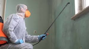 Why You Should Choose Our Mold Remediation Services in Sundown, TX